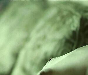 Paz de la Huerta - 5 Up 2 Down (2006)