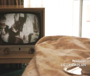 Lizzy Caplan, Rachelle Dimaria  nude - Masters of Sex S04 E01-03 (2016)