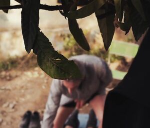 Irene Anula nude - Vampiro (2016) Explicit Scene