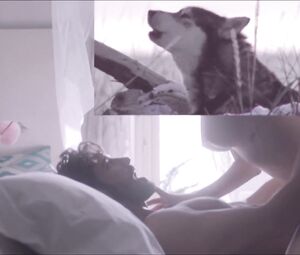 Adult Short Movie "Kiki, el amor se hace". Scene Сomparison Animal Sex