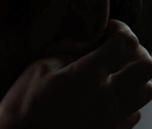 Sex video Carice van Houten nude - Black Butterflies (2011)