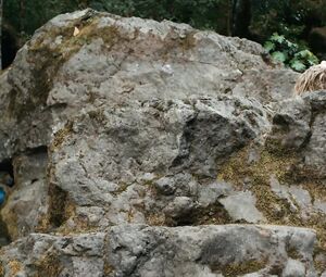 Sex video Amber Heard nude - The River Why (2010)