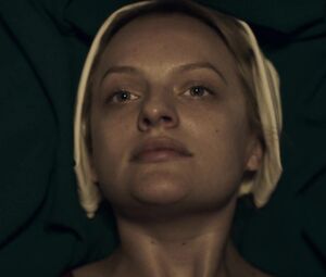 Sex video Elisabeth Moss, Alexis Bledel nude - The Handmaid’s Tale S01E01-04 (2017)