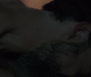 Melia Kreiling naked – Tyrant s03e05 (2016)