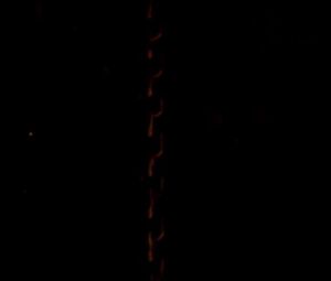 Heather Matarazzo naked, Monika Malacova naked – Hostel Part II (2007)