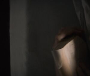 Marion Cotillard naked - Mal De Piers (2016)