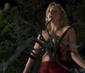 Kailin See & Lindsay Maxwell - Decoys 2 (2007)