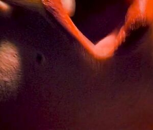 Molly Parker, Alisha Klass - The Center of the World (2000)