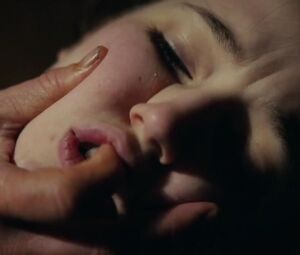 Fanny Bornedal nude - Journal 64 (2018)